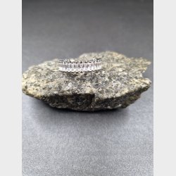 Stainlees stell, nikkelfri