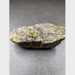 Stainlees stell, nikkelfri