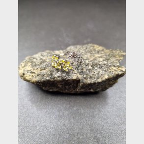 Stainlees stell, nikkelfri