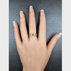 Stainlees stell, nikkelfri guldbel�gning