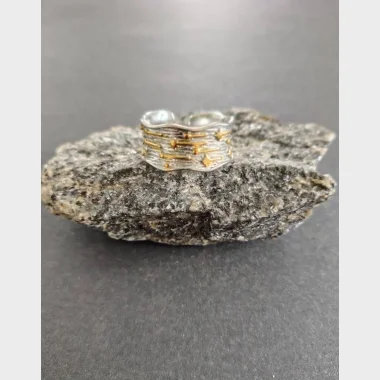 Ringe S&oslash;lv 925 / guldbel&aelig;gning