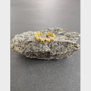 S�lv 925 Med Guldbel�gning