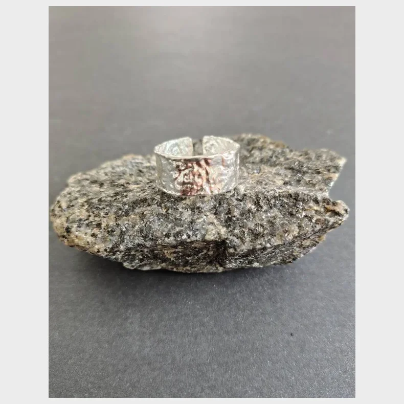 Stainlees stell, nikkelfri