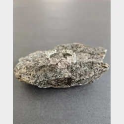 Stainlees stell, nikkelfri