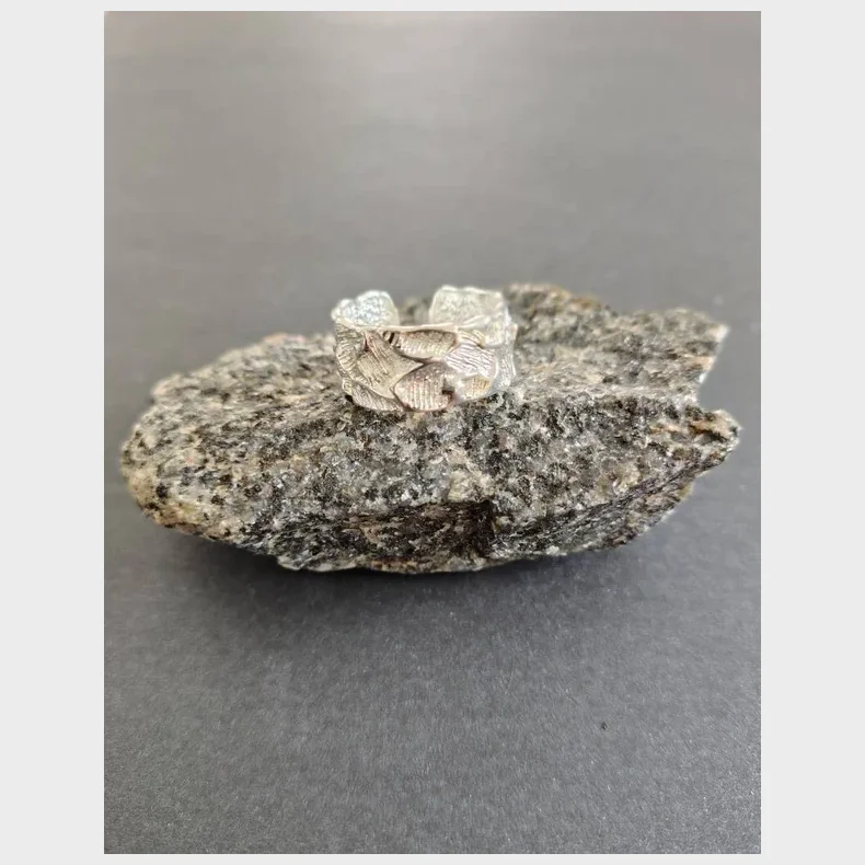 Stainlees stell, nikkelfri