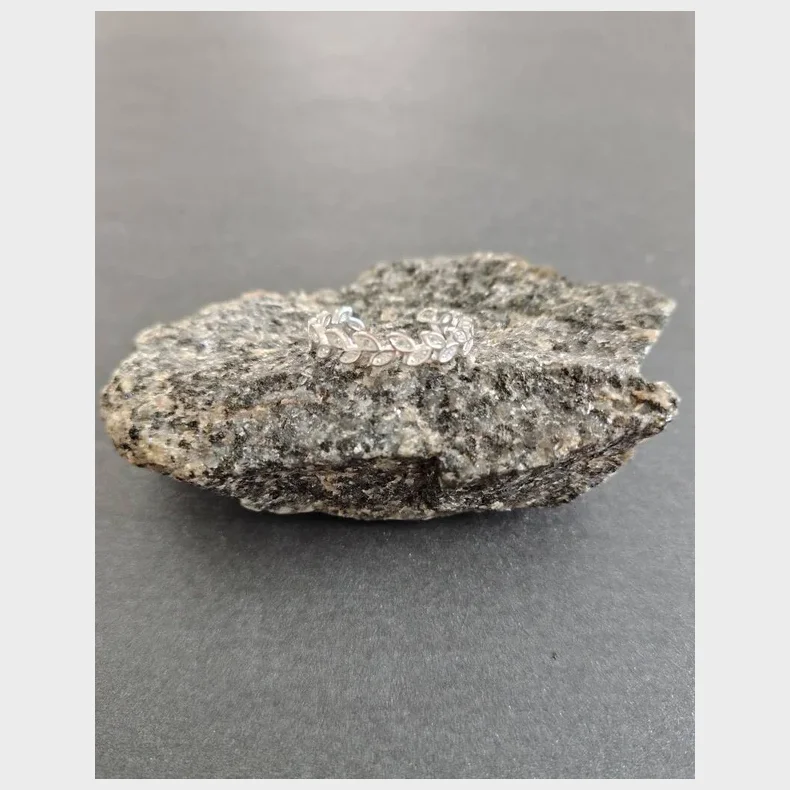 Stainlees stell, nikkelfri