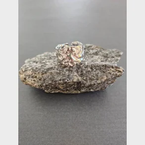 Stainlees stell, nikkelfri