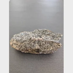 Stainlees stell, nikkelfri