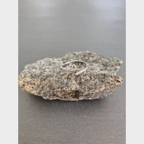 Stainlees stell, nikkelfri